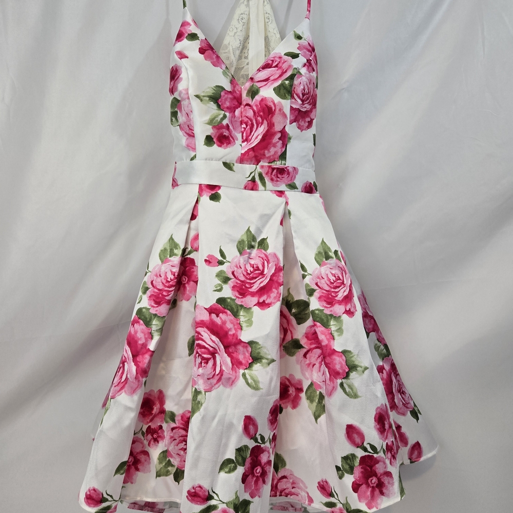 B.  Pink Floral Dress